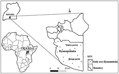 Awareness, Knowledge, and Perceptions Regarding Rabies Prevention Among Rural Communities in Masaka District, Central Uganda: A Qualitative Study